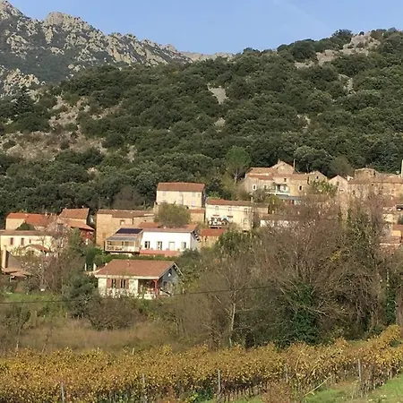 Adorable Guest House/annexe Avec Terrasse Holiday home